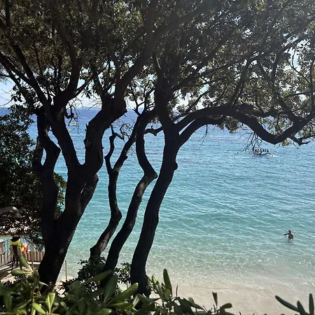 בית נופש Charmante Vue Calme Au Lavandou - Fr-1-308-145