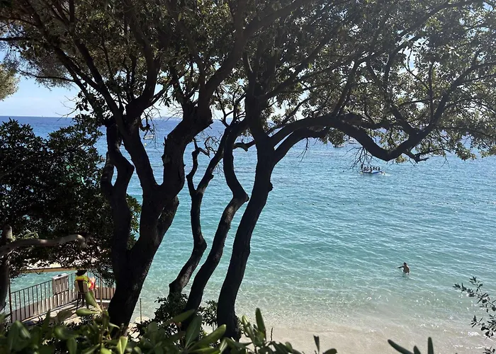 펜션 Charmante Vue Calme Au Lavandou - Fr-1-308-145